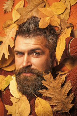 Hipster veya sonbahar turuncu zemin üzerine sakallı adam.