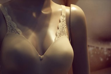 sutyen kadın manken veya dummy iç çamaşırı, iç çamaşırı Dükkanı