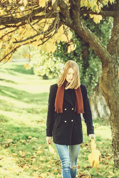 Ładna dziewczyna w parku jesień — Zdjęcie stockowe
