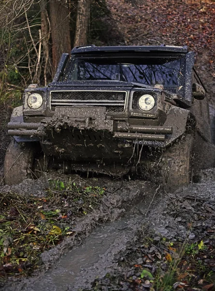 Black crossover driving through dirt with nature on background. — Stock Photo, Image