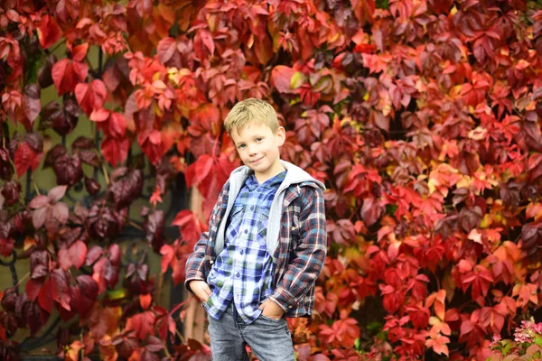 Október a lehullott levelek. Kicsi fiú őszi levelek. Oszi szünidő élvezze a kisfiú. A összhang van ősz — Stock Fotó
