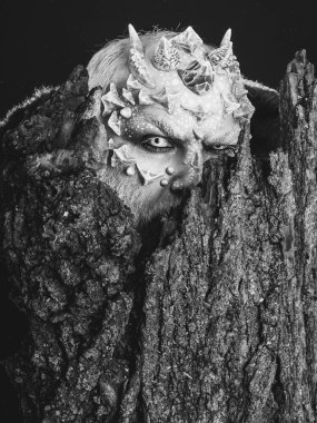 Ağaç ruhu ve fantezi kavramı