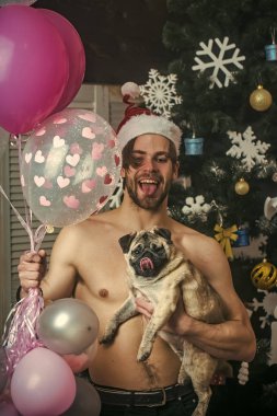 adam ile küçük köpek pug.