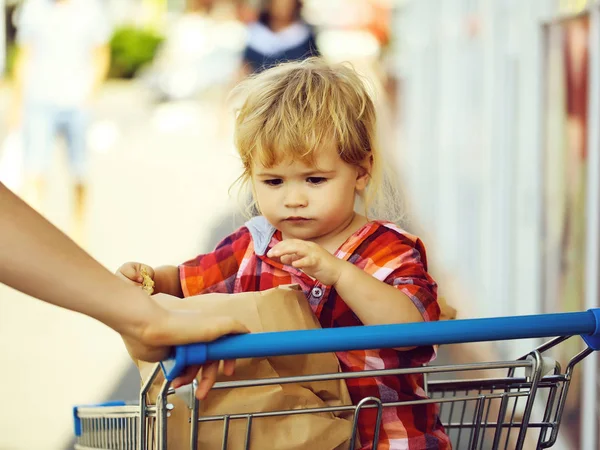 Carino ragazzo nel carrello della spesa — Foto Stock