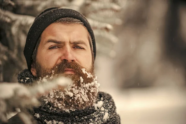 Anno nuovo uomo in foresta fredda nevosa — Foto Stock
