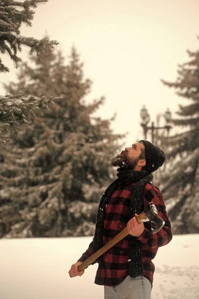 Man met baard in winter forest met sneeuw houdt bijl. — Stockfoto