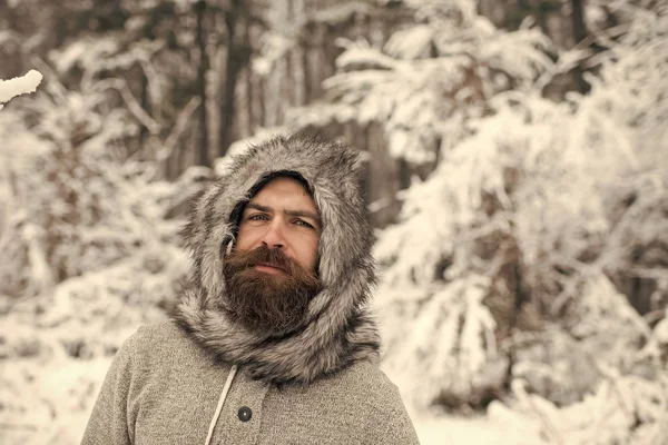 Hipster veya karlı ormandaki termal ceketli sakallı adamı — Stok fotoğraf