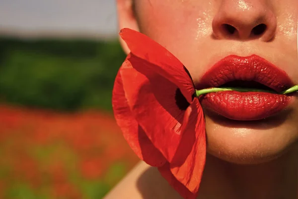 Papoila de ópio, cosméticos, ecologia, lábios sexy . — Fotografia de Stock