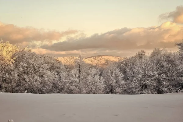 Schöne Winterlandschaft — Stockfoto