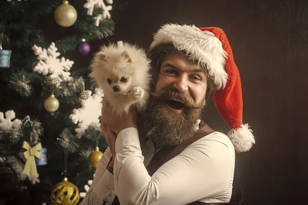 나무에서 애완 동물을 가진 산타 클로스 남자. — 스톡 사진