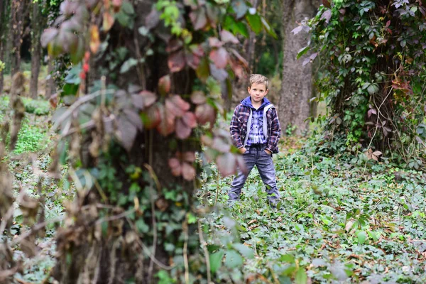 Quédate cerca de la naturaleza. El niño disfruta del juego de la naturaleza. Diviértete en el bosque. Crecer verde. Se trata de jugar con la naturaleza, no solo en la naturaleza — Foto de Stock