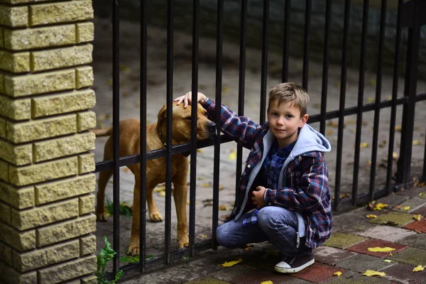 Aproveita ser o meu cão de estimação. Menino adote o cão de estimação do abrigo de animais. O menino brinca com o cão de estimação. Não podes comprar amor, mas podes resgatar um cão. — Fotografia de Stock