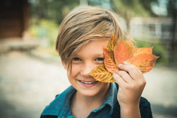 Um miúdo de cabelo liso a brincar com folhas e a olhar para a câmara. De volta à escola. Adeus verão - oi outono. Venda para toda a coleção de outono, descontos incríveis e escolha maravilhosa . — Fotografia de Stock