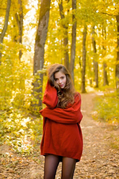 Dreamy girl with long hair in knit sweater. Beautiful fashion woman in autumn red dress with falling leaves over nature background. Autumn woman. — Stock Photo, Image