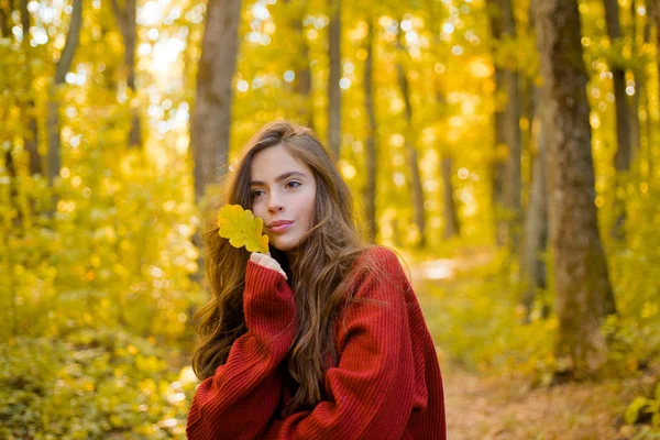 Retrato ao ar livre Linda menina modelo morena com luz do dia ensolarada. Árvore de outono. menina bonito em bom humor posando no dia de outono. Conceito de liberdade . — Fotografia de Stock