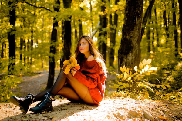 Mujer de otoño. Belleza otoñal. Concepto de caída. Autumn Park. Foto de moda al aire libre de joven hermosa dama rodeada hojas de otoño . — Foto de Stock