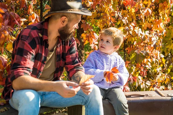 Çocuk'a bayılıyorum. Çocukluk kavramı. Üst Bebek öğretmek. Gülen ve having fun Sonbahar Park baba ve çocuk evlat. Çocukluk kavramı. — Stok fotoğraf