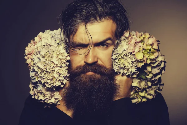 Vousatý muž s květy hortenzie — Stock fotografie