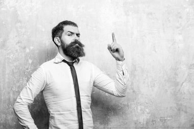 ciddi yüz uzun sakallı adam veya hipster sakallı