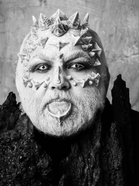 Ağaç ruhu ve fantezi kavramı