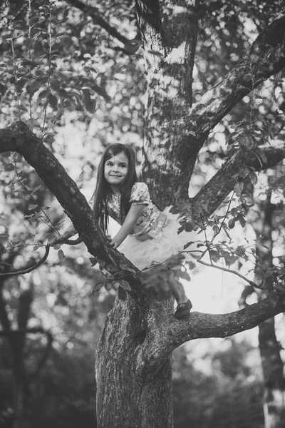 Small girl climb tree in summer garden, activity