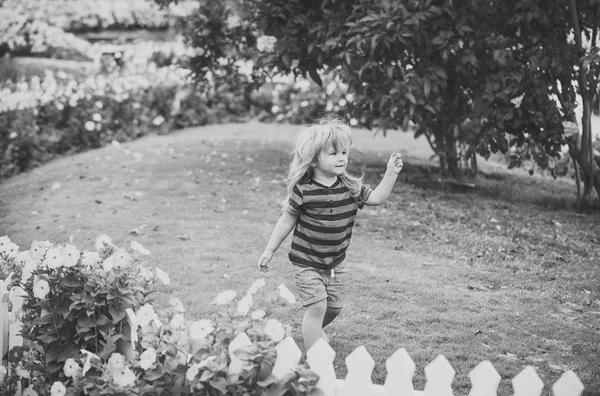 Αγόρι ή μικρό παιδί υπαίθρια κοντά σε λευκό ξύλινο φράχτη — Φωτογραφία Αρχείου