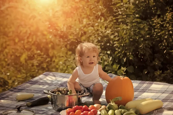 Kind op picnic Stockafbeelding