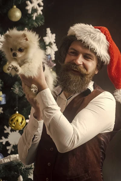 Weihnachtsmann mit Haustier am Baum. — Stockfoto