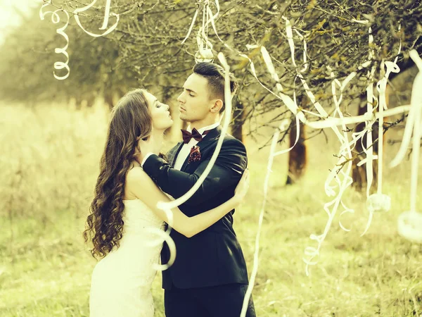 Boda pareja y cintas en el árbol —  Fotos de Stock