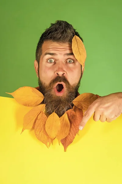 가 남자는 놀란된 얼굴에 수염에서 나뭇잎 — 스톡 사진