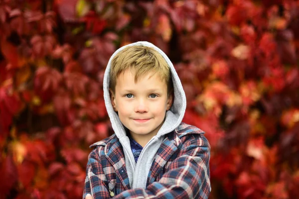 Autumn is time for back to school. Little schoolboy. Little child enjoy autumn season. Adorable child on autumn landscape. Hello autumn — Stock Photo, Image