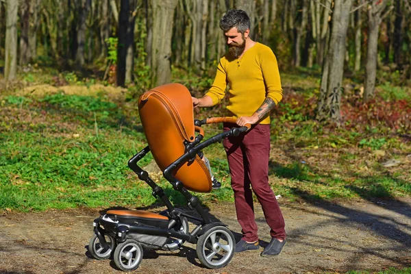 Bearded man walk baby pram in spring park on fathers day. Fathers day concept. The best father ever. Casually cool dad