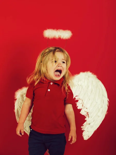 Мальчик-ангел плачет с белыми перьями и ореолом — стоковое фото