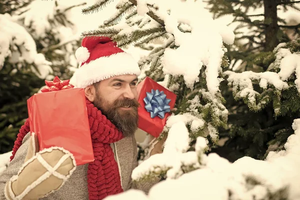 Bearded man in santa hat at new year. — Stock Photo, Image