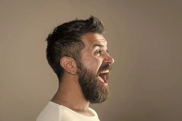 Guy or bearded man on grey background.