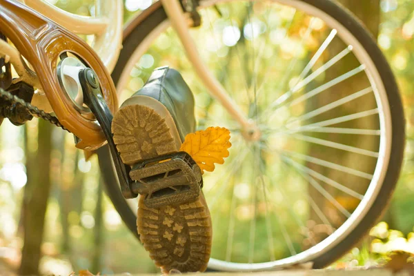 享受秋天的好天气。秋季概念。在公园里骑自行车。活跃的人。户外。秋树树叶和 vinrage 自行车. — 图库照片