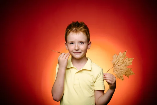 Pojke i säsongens kläder med gyllene löv. Försäljning för hela höstkollektion, otroliga rabatter och underbart val. Grimas. Kid spelar under hösten. Närbild porträtt. — Stockfoto