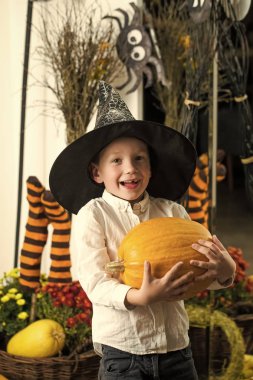 Cadılar Bayramı çocuk cadı şapkalı sarı kabak ile
