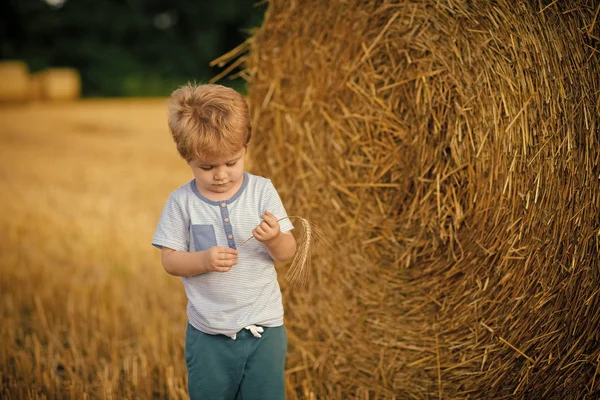 Liten pojke med Småax på höbalen, sommar — Stockfoto