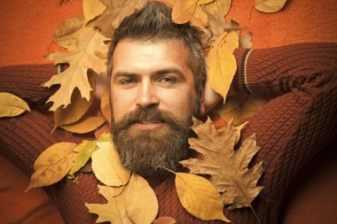 Hipster veya sonbahar turuncu zemin üzerine sakallı adam