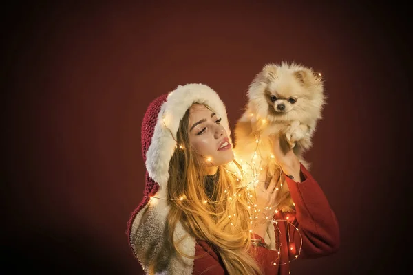 Sexy menina com pomeranian spitz cão no xmas . — Fotografia de Stock