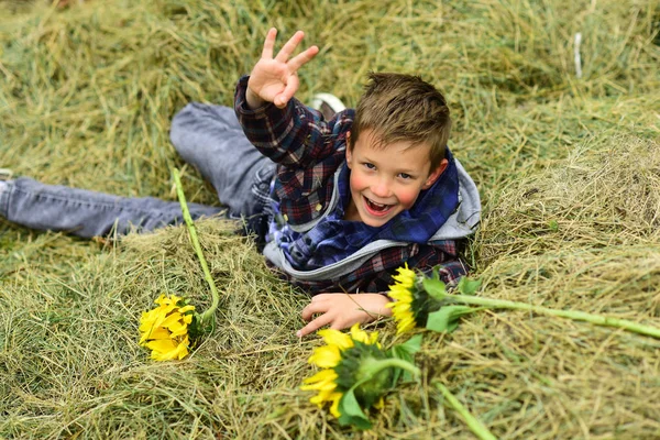 快乐的男孩。小男孩高兴地笑着干草。小男孩微笑, 显示 ok 标志。好的, 我很高兴 — 图库照片