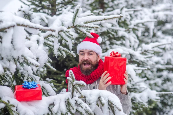 クリスマスの幸せな男は、雪に覆われた冬の森でプレゼント ボックスを保持します。 — ストック写真