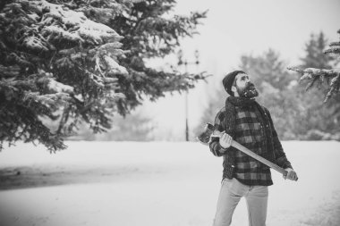 Yolculuk tutkusu, yürüyüş ve turistik.