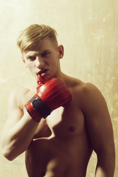 Boxer med naken överkropp poserar i röda handskar — Stockfoto