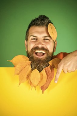 Berber ve Kuaför, yaprakları sakal.