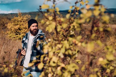 Avcı ile bir av tüfeği silahtan. Yaban hayatı avlar. Huntering kavramı.