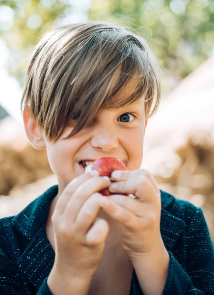 Ευτυχισμένο παιδί στο fair το φθινόπωρο. Μικρό αγόρι διαφημίζει φυσικά προϊόντα. Πορτρέτο του ένα χαρούμενο αγόρι που βρίσκεται σε ένα σανό. Το αγόρι διαφημίζει Παιδικά Ρούχα για το φθινόπωρο. — Φωτογραφία Αρχείου