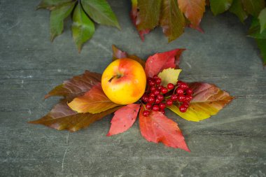 Sonbahar için Retro vintage kavramı. Sonbahar arka plan ile sarı akçaağaç yaprakları, kırmızı elma. Sonbaharda hasat kopya alanı ile yaşlı ahşap çerçeve. Mockup mevsimlik ve tatil kartpostal, üstten görünüm