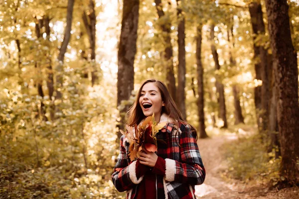 Menina feliz bonita jovem com uma folha vermelho-amarela brilhante no parque. Modelo de moda mulher perfeita com queda de folha de bordo ao ar livre. Paisagem de outono. Mulher de outono se divertindo no parque e sorrindo . — Fotografia de Stock